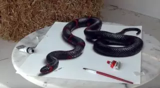 Художник показал, как создаются невероятные 3D-рисунки