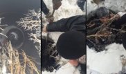 Жителя Астаны наградят за спасение девочки из колодца