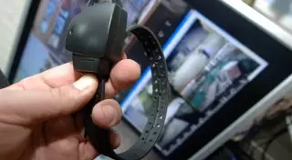 Внедрение электронных браслетов для осужденных в РК назвали "проблемой с бородой"