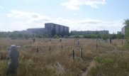 Власти Павлодара не будут превращать спорное кладбище в мемориальный комплекс
