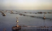 Потушен пожар на одной из трех скважин на платформе на Каспии