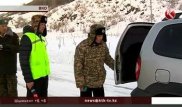 Охота на лесорубов объявлена в ВКО