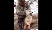 Охотник из Восточного Казахстана берет волков голыми руками
