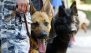 Из-за подозрительных предметов в двух районах Алматы эвакуировали людей