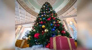 В Акорде нарядили елку