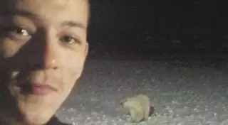 Повар изложил свою версию инцидента с белой медведицей в Арктике