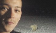Повар изложил свою версию инцидента с белой медведицей в Арктике