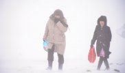 Снегопады с метелями ожидаются в Казахстане в ближайшие дни