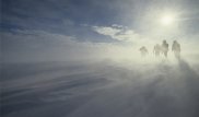 Спасатели нашли замерзающих в степи жителей ЗКО