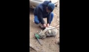 В Сети появилось продолжение жуткого видео, взбудоражившего Казнет