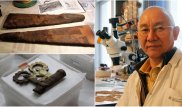 2500-летние седло, головной убор и колчан представили реставраторы в Алматы