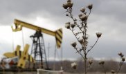 Американская нефть упала ниже психологической отметки в 30 долларов