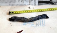 Биолог и полицейские осмотрели загадочное существо в Костанайской области