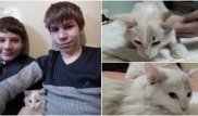 Вмерзшего в лед котенка спасли двое школьников в Павлодаре