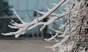 В выходные на большей части Казахстана ожидаются морозы
