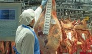 На рынок Казахстана заходит новый игрок