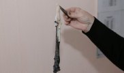 "Неизвестное существо" может оказаться желудком травоядного животного - ученые