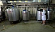 Казахстан может заработать миллиард долларов на кобыльем молоке - Мамытбеков