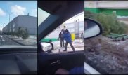 Видео посадки срубленных елок в Атырауской области набирает обороты в Сети