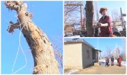 Тело второклассника нашли в Жамбылской области