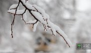 Синоптики прогнозируют снег и метели в выходные в Казахстане
