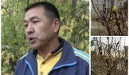 В Шымкенте зимы не будет 50 лет - предсказатель