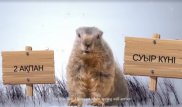 Виртуальный сурок Фил предсказал длинную зиму в Казахстане