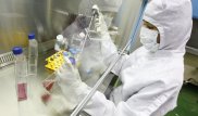 В Индии, возможно, изобретена первая вакцина от вируса Зика