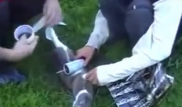 "Героев" видео с убийством кота петардой задержала рязанская полиция