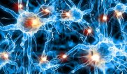 Ученые научились получать трехмерные изображения раковых клеток с помощью микроскопа