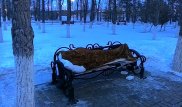 Мужчина провел ночь в парке Астаны при минусовой температуре
