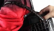 Полицейские вернули сумочку ограбленной в Талдыкоргане девушке