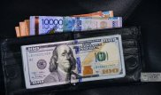 Нацбанк рекомендует казахстанцам 50 процентов сбережений держать в инвалюте