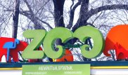 Снежные барсы в зоопарке Алматы умерли из-за плохих условий содержания