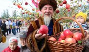Общественники предложили создать музей яблок в Алматы