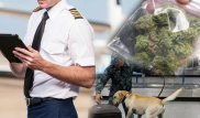 Задержанный с наркотиками пилот "Эйр Астаны" сожалеет, что подставил компанию