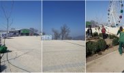 Руководство объяснило отсутствие деревьев на площадке Коктобе