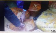 Марихуану на десять миллионов тенге обнаружили в будке для собаки в Мангистау