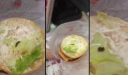 В бургере фастфуда в Алматы обнаружили слизняка