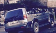 Дерево придавило внедорожник в Алматы
