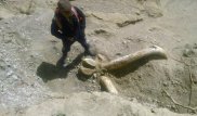 Ученые рассказали о возрасте доисторического животного на Иссык-Куле
