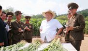 Граждан Северной Кореи призывают готовиться к голоду