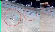 Воспитателя детского сада в Павлодаре уволили после побега шестилетнего мальчика