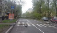 На проезжую часть в центре Алматы упали деревья и электрический столб