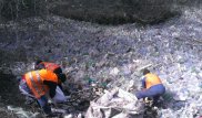 35 КамАЗов с мусором вывезли при очистке реки Есентай в Алматы