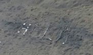 Надпись палками на песке помогла найти потерявшуюся в США пенсионерку