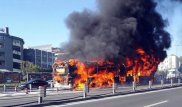 Видео: Взорвался автобус в центре Стамбула