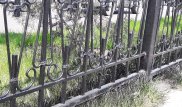 Коммунальщики покрасили траву в черный цвет на проспекте Абая в Алматы