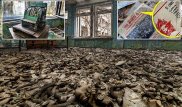 Чернобыль 30 лет спустя: Фотографии из мертвого города