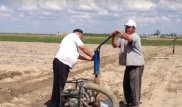 BBC показал тяжелый труд фермеров Южного Казахстана